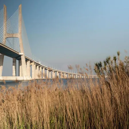 Casa Do Ferro De Engomar * Samouco